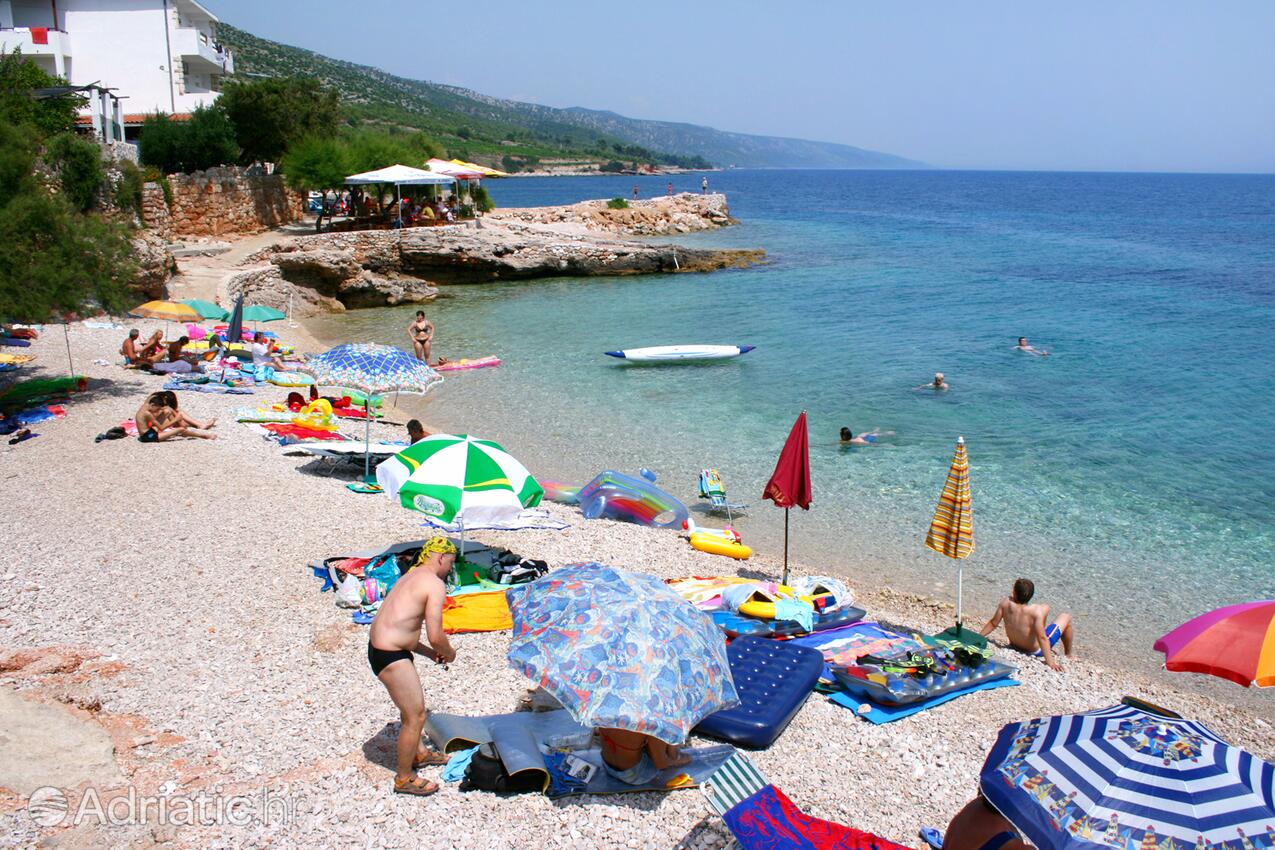Adriatic.hr