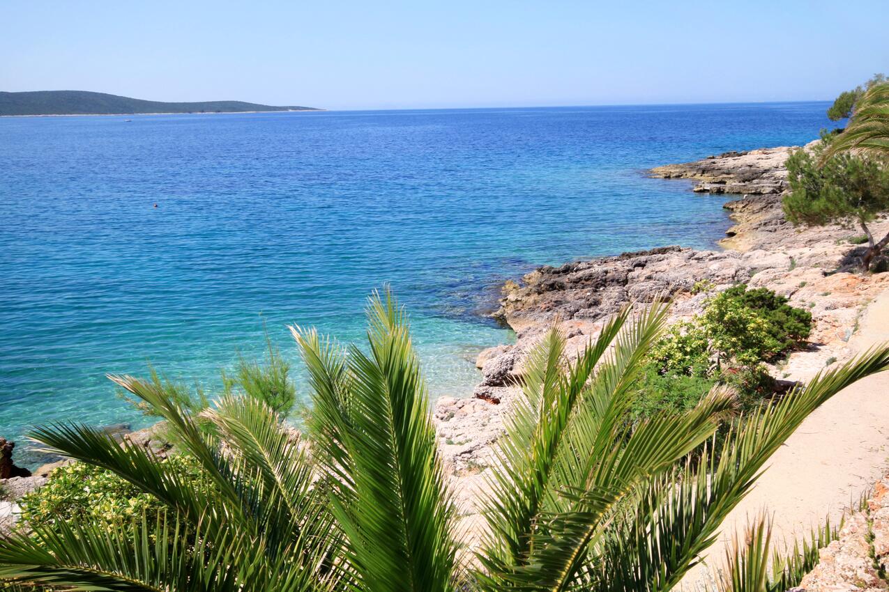 Nächster Strand - Ferienwohnungen mit Parkplatz Zavala, Hvar