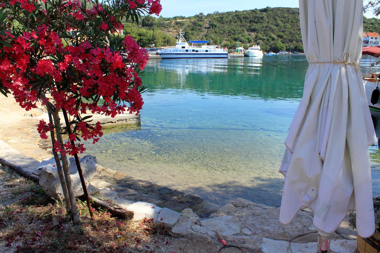 La spiaggia più vicina - Appartamenti e camere accanto al mare Zaglava - Zaglav, Isola Lunga - Dugi otok
