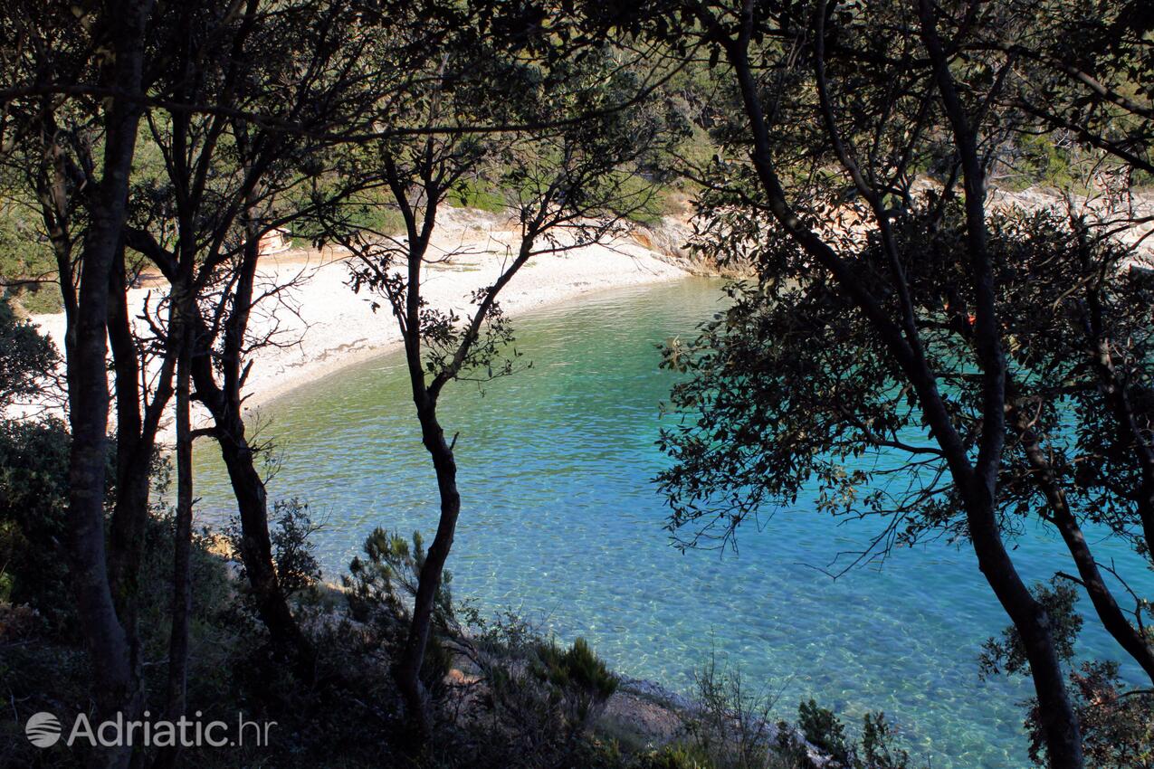 Adriatic.hr