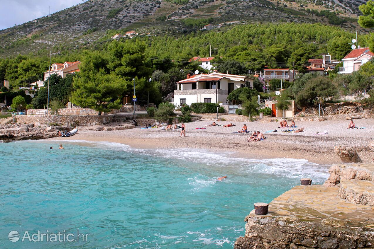 Adriatic.hr