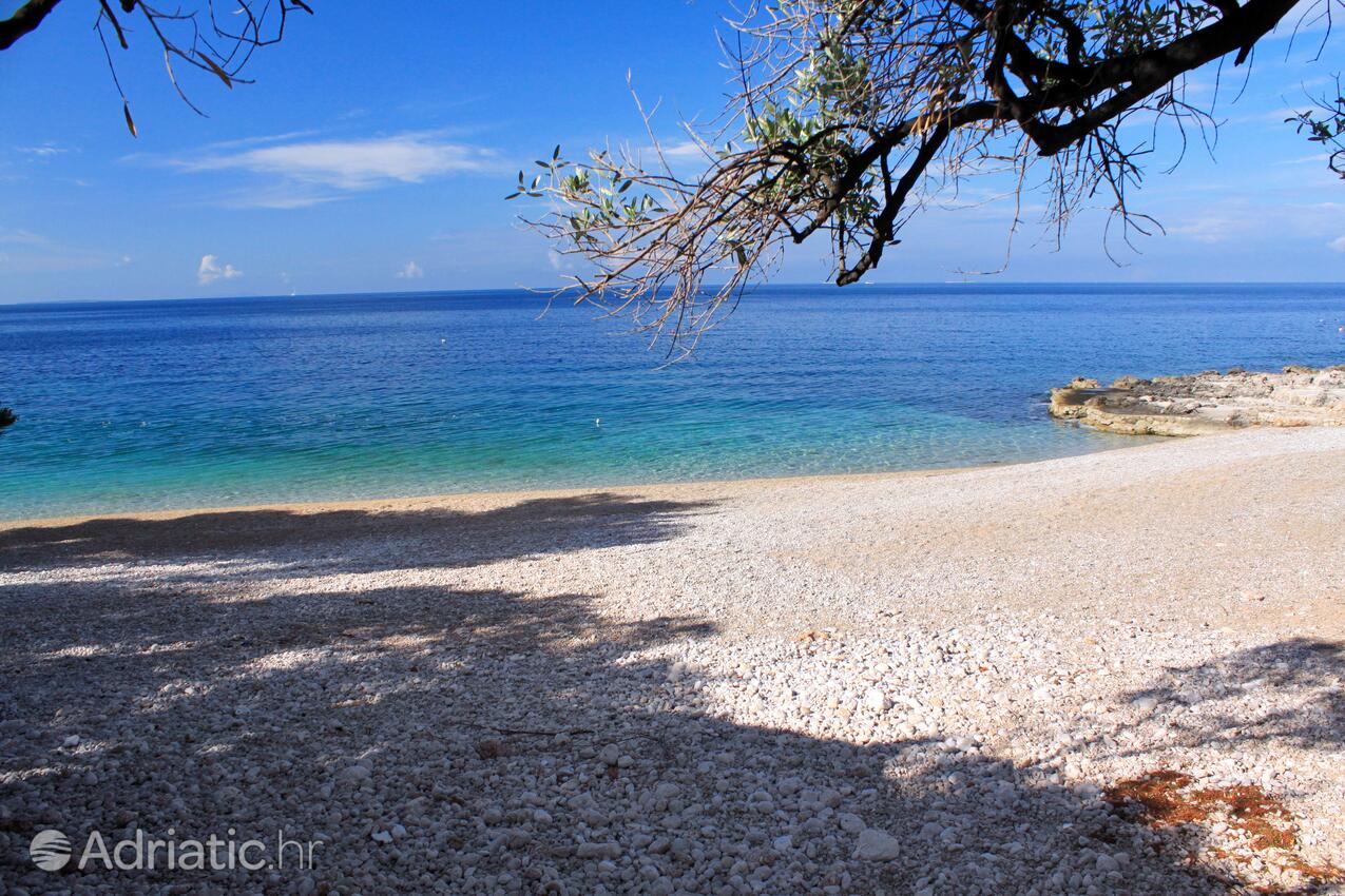 Adriatic.hr