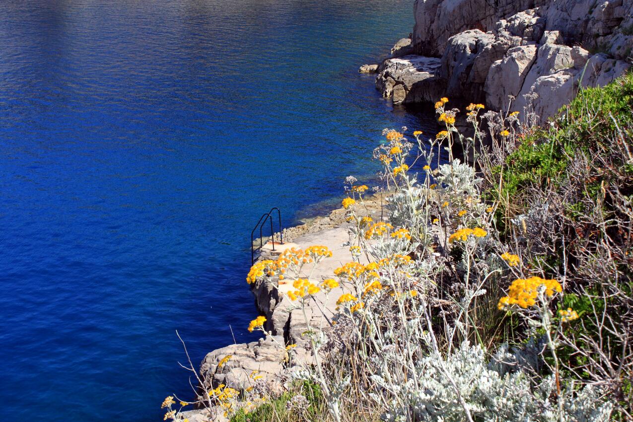 La spiaggia più vicina - Appartamenti con parcheggio Lussingrande - Veli Lošinj, Lussino - Lošinj
