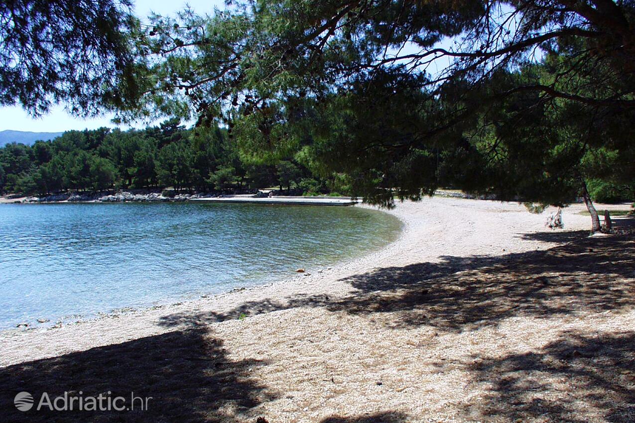 Adriatic.hr