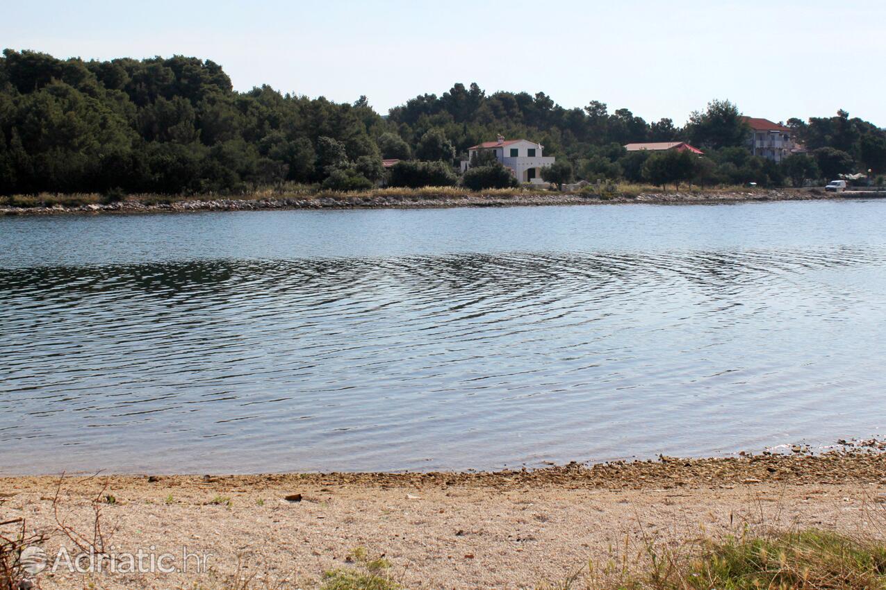 Nearest beach - Apartments by the sea Veli Rat, Dugi otok