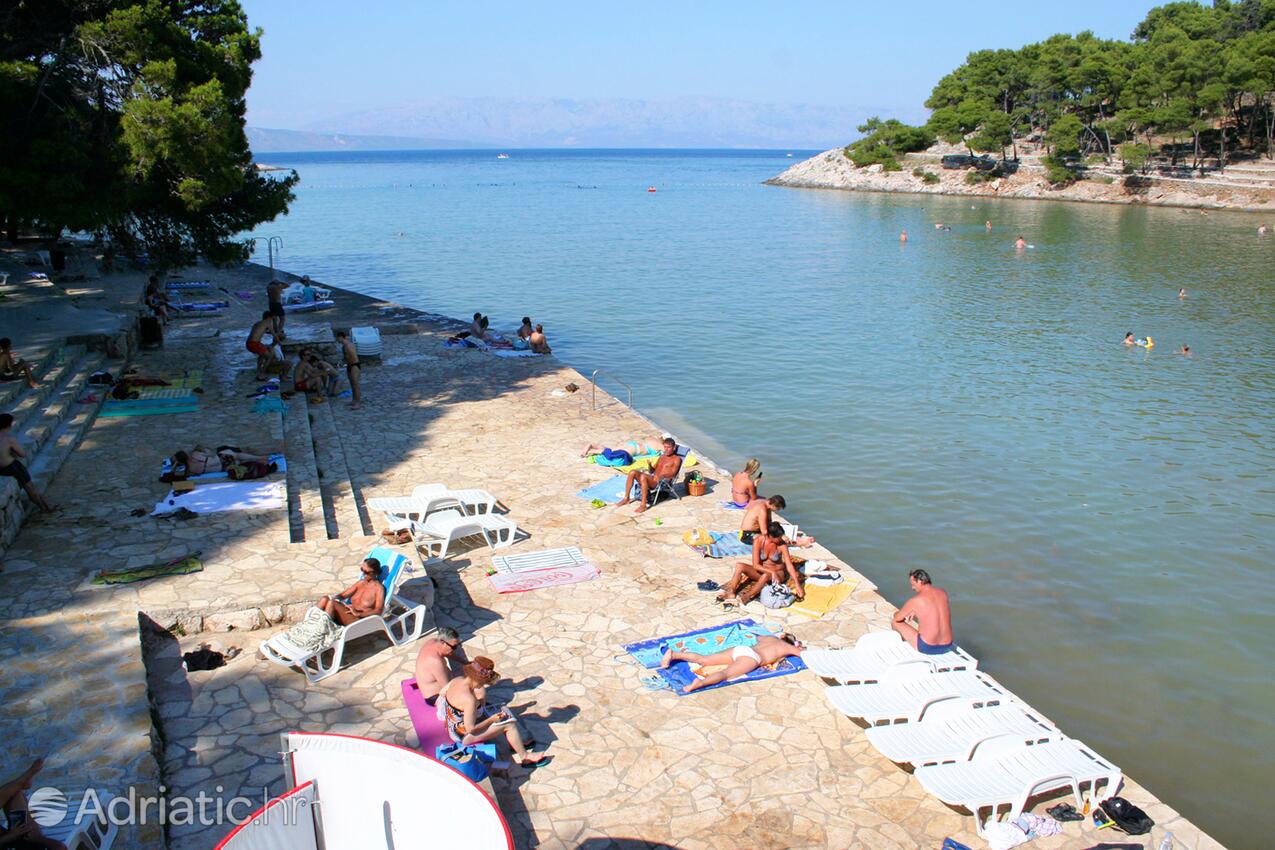 Adriatic.hr