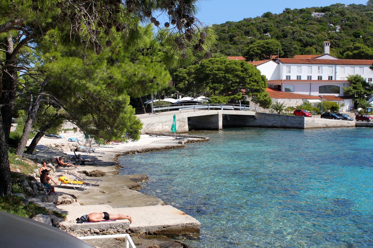 Legközelebbi strand - Apartmanok a tenger mellett Pasadur, Lastovo