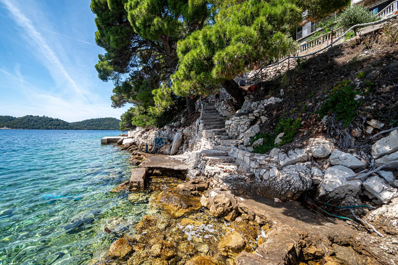 La spiaggia più vicina - Appartamenti accanto al mare San Pietro - Ubli, Lagosta - Lastovo