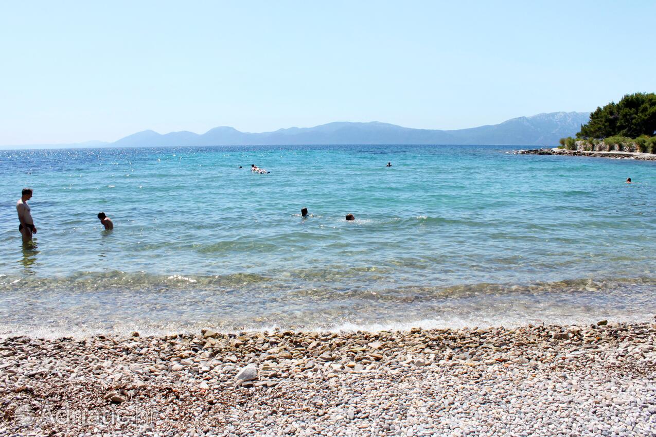 Nearest beach - Apartments by the sea Sućuraj, Hvar