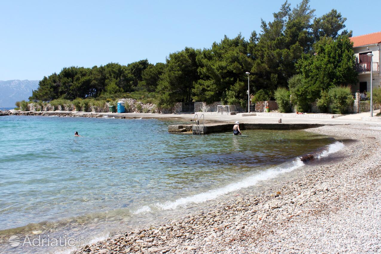 Nearest beach - Apartments by the sea Sućuraj, Hvar