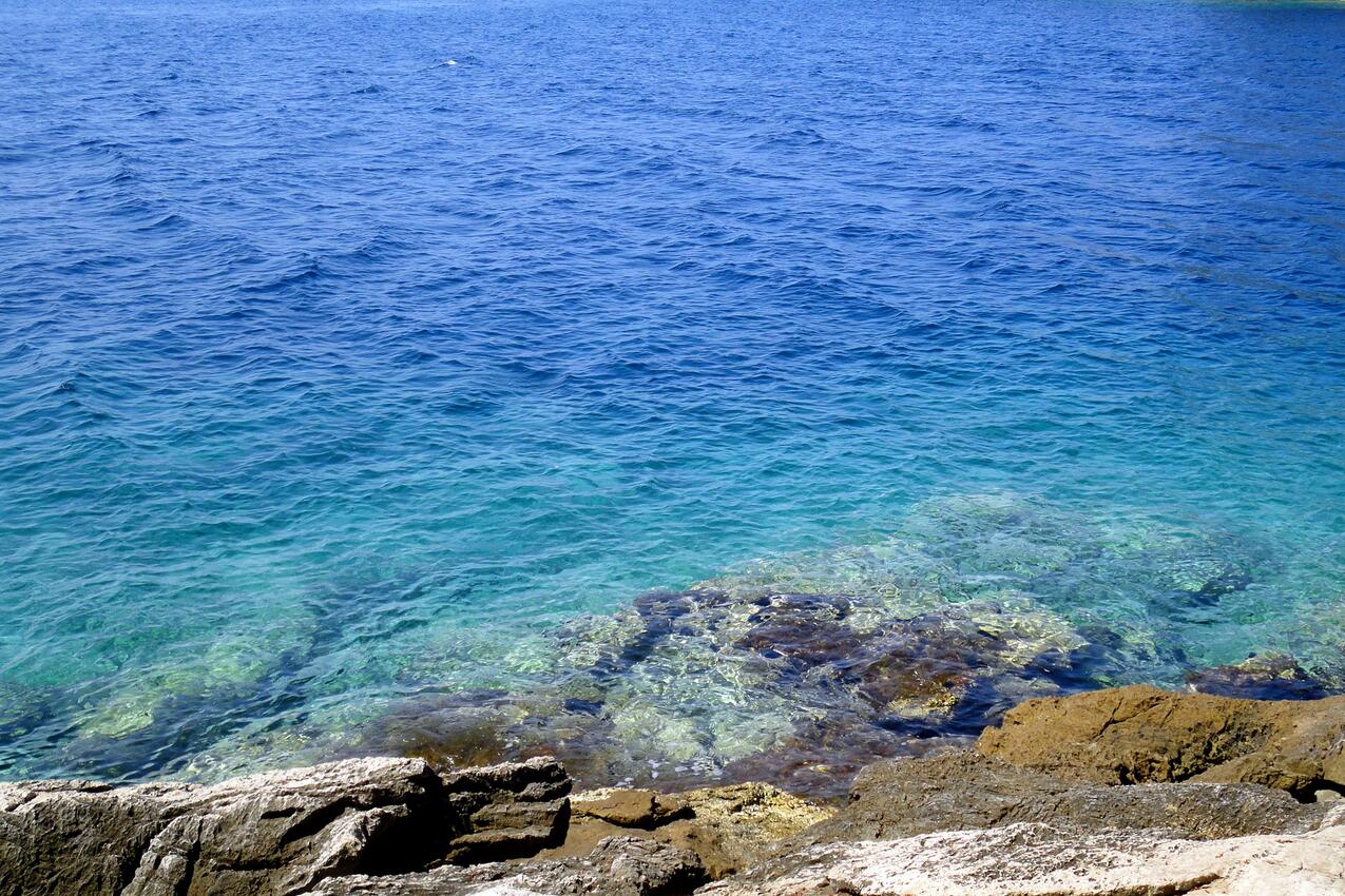 Nearest beach - Seaside secluded apartments Cove Torac, Hvar