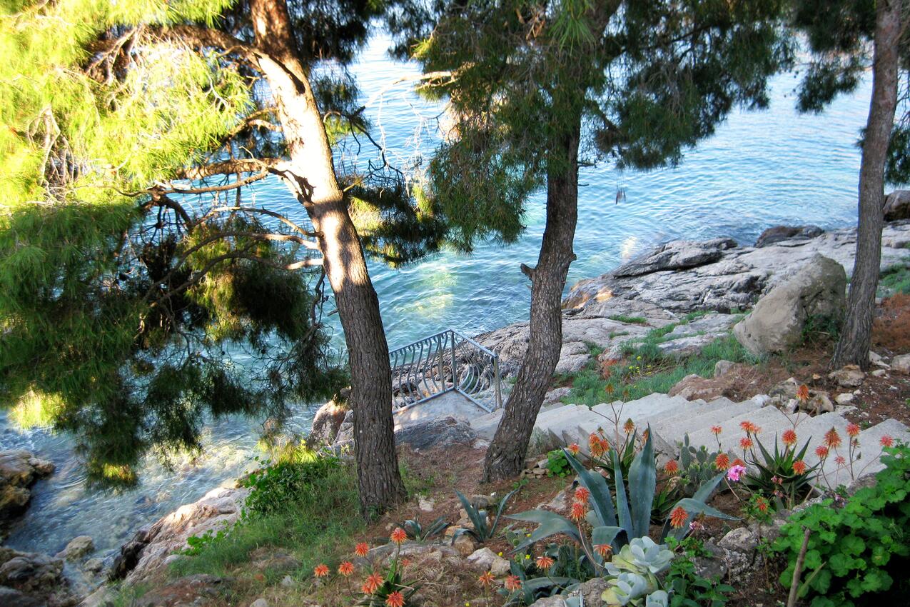 Nearest beach - Seaside secluded apartments Cove Torac, Hvar