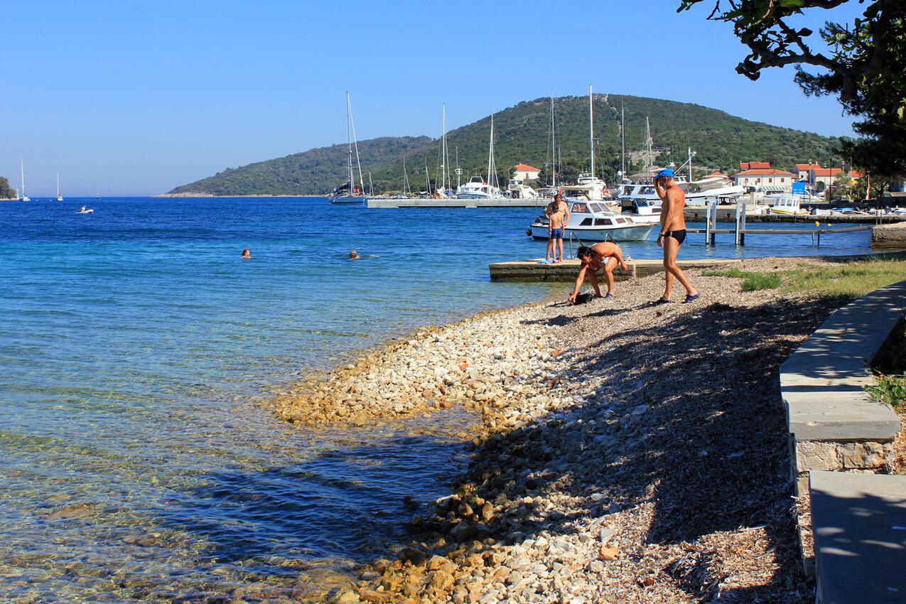 La spiaggia più vicina - Appartamenti con Internet Ilovik, Lussino - Lošinj