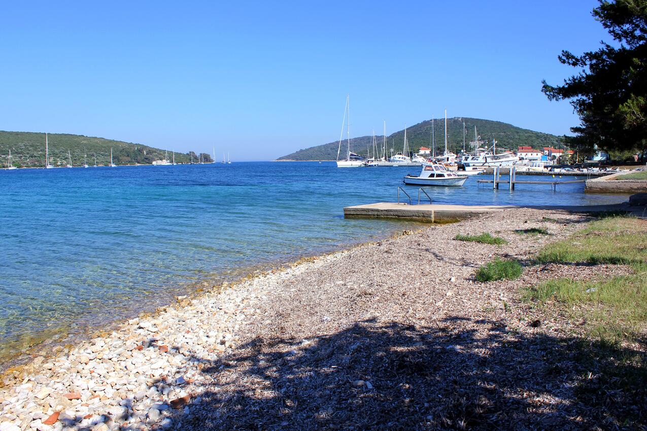 La spiaggia più vicina - Appartamenti con Internet Ilovik, Lussino - Lošinj