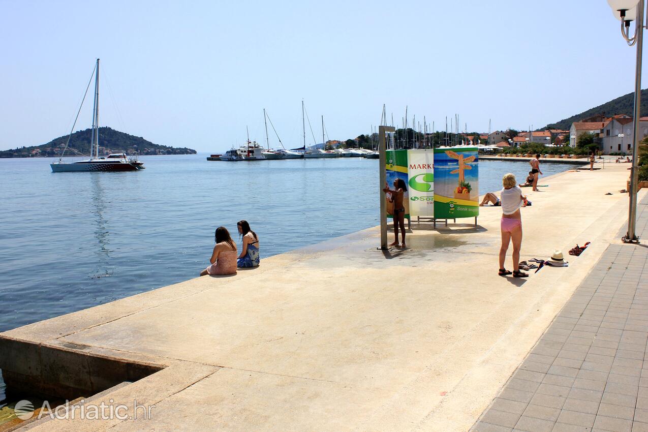 Nearest beach - Apartments by the sea Preko, Ugljan