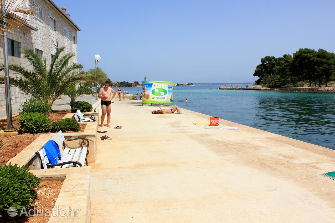 Nearest beach - Apartments by the sea Preko, Ugljan
