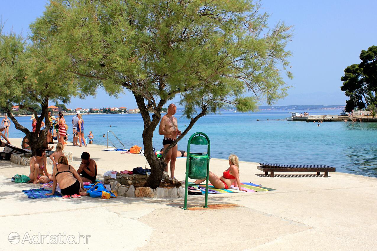 Nearest beach - Apartments by the sea Preko, Ugljan