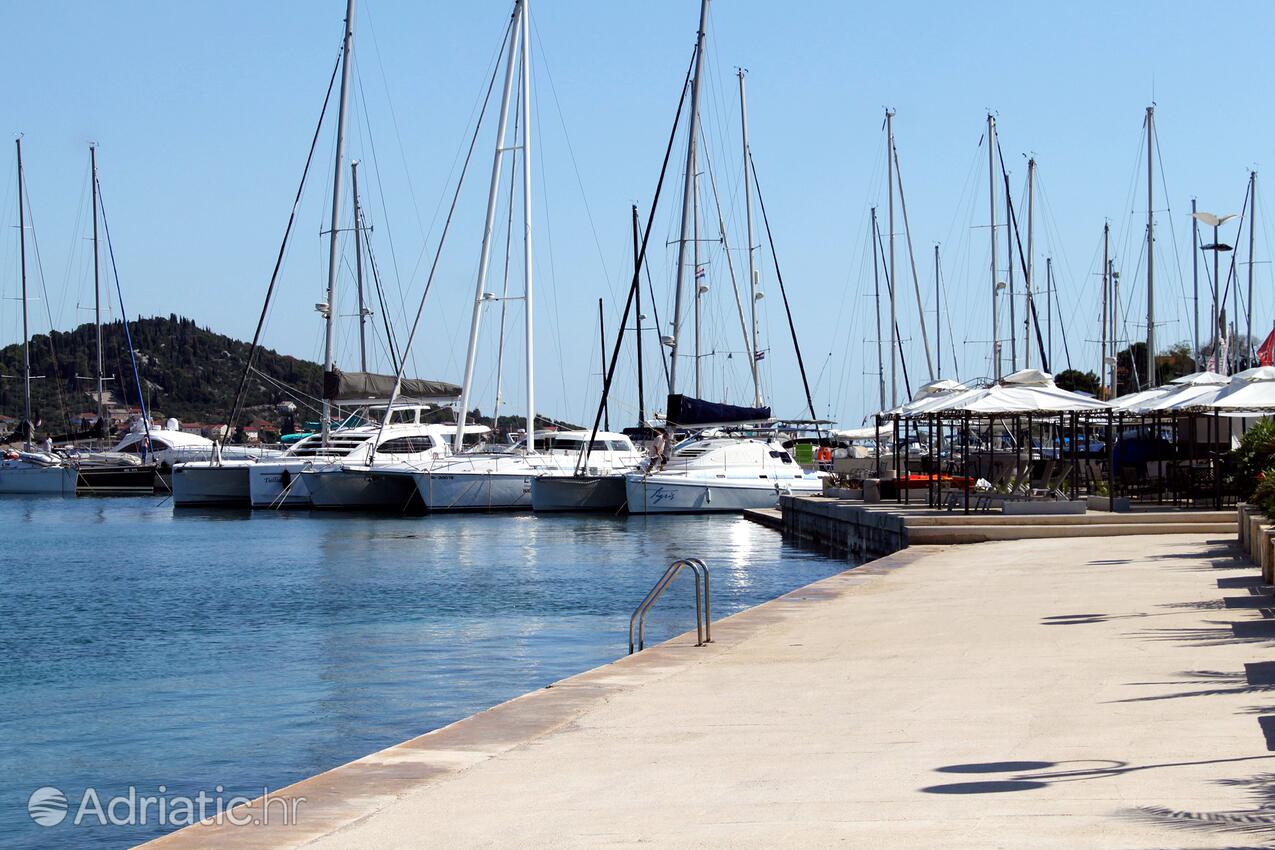 Nearest beach - Apartments by the sea Preko, Ugljan