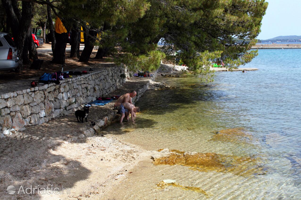 Adriatic.hr
