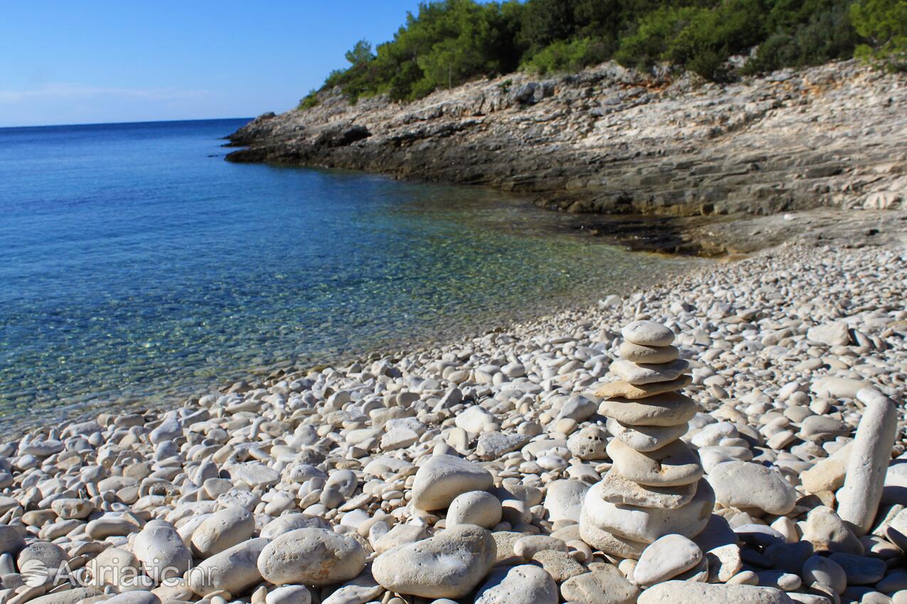 La spiaggia più vicina - Appartamenti con parcheggio Rukavac, Lissa - Vis
