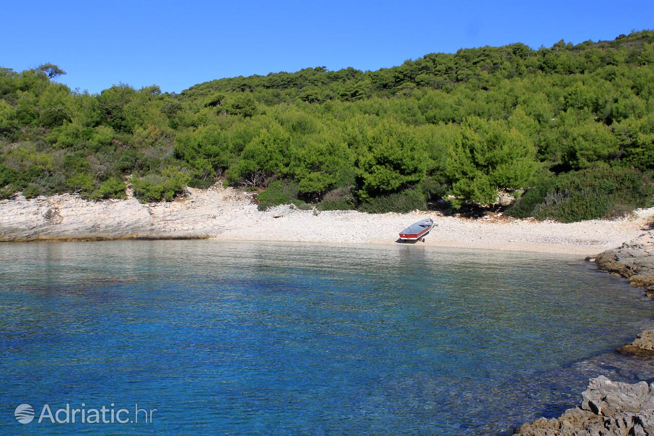 La spiaggia più vicina - Appartamenti con parcheggio Rukavac, Lissa - Vis