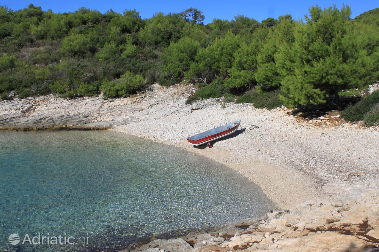 La spiaggia più vicina - Appartamenti con parcheggio Rukavac, Lissa - Vis
