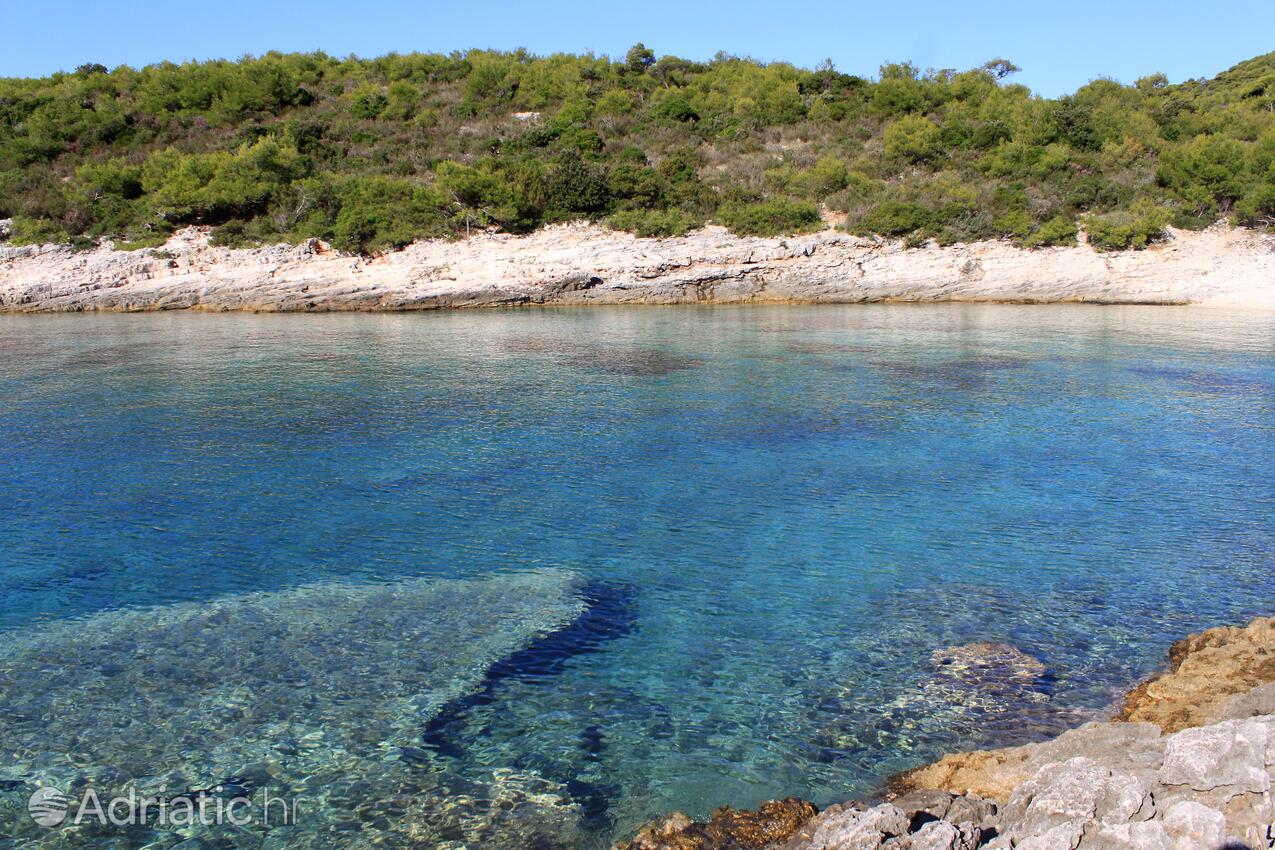 La spiaggia più vicina - Appartamenti con parcheggio Rukavac, Lissa - Vis