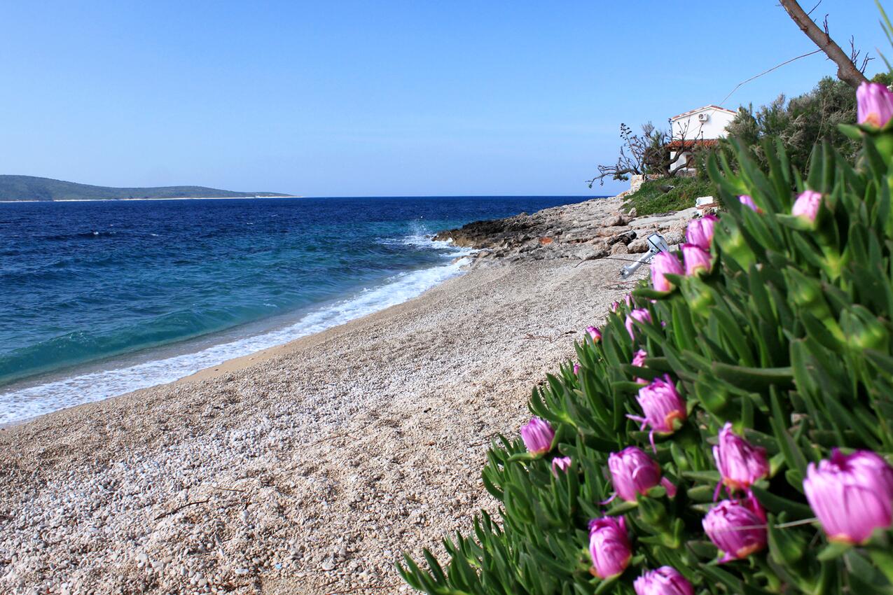 Nächster Strand - Ferienwohnungen mit Parkplatz Zavala, Hvar