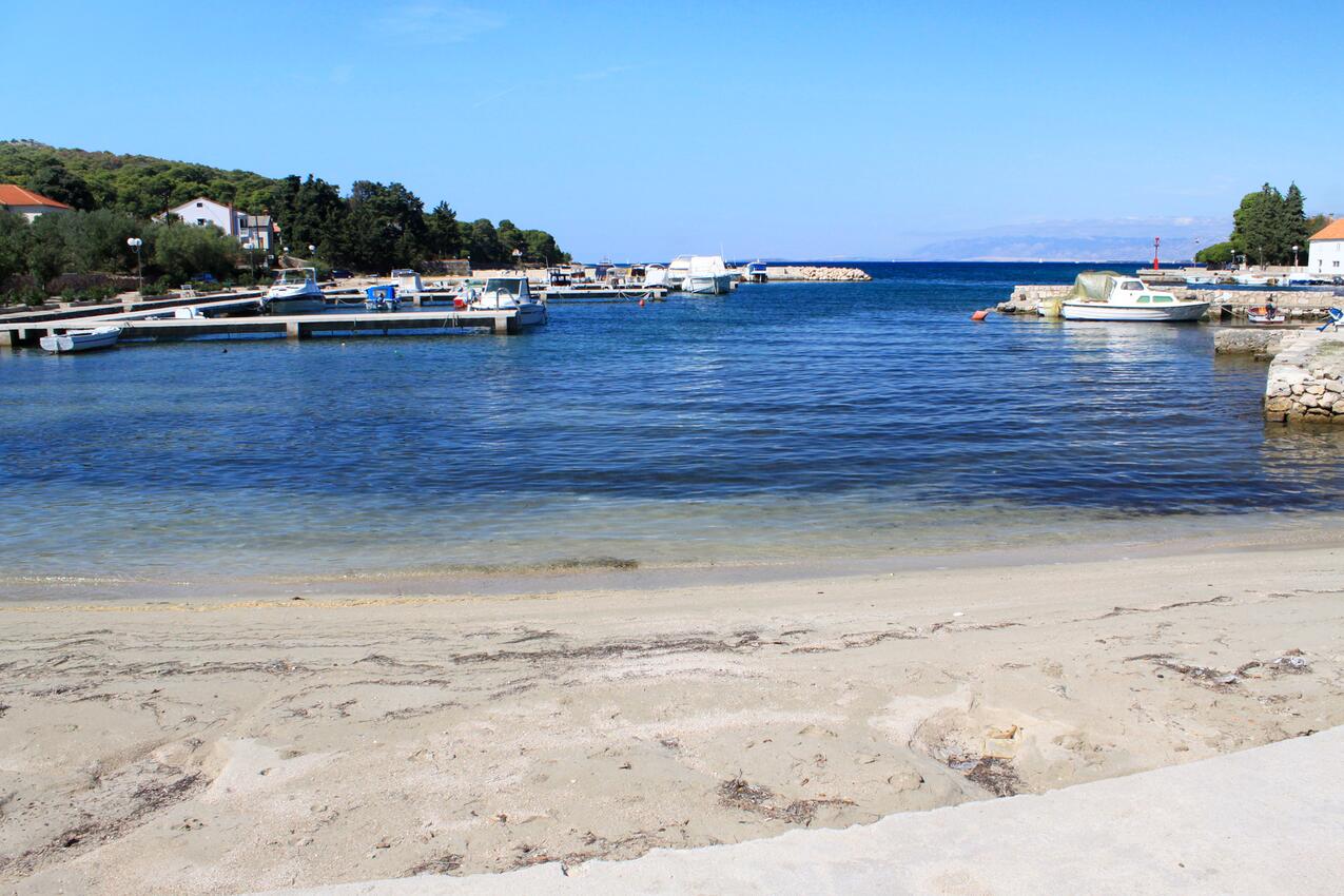 La spiaggia più vicina - Appartamenti accanto al mare Lukoran, Ugliano - Ugljan