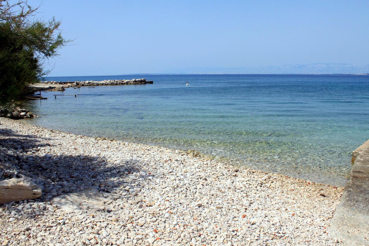 La spiaggia più vicina - Appartamenti accanto al mare Ugliano - Ugljan