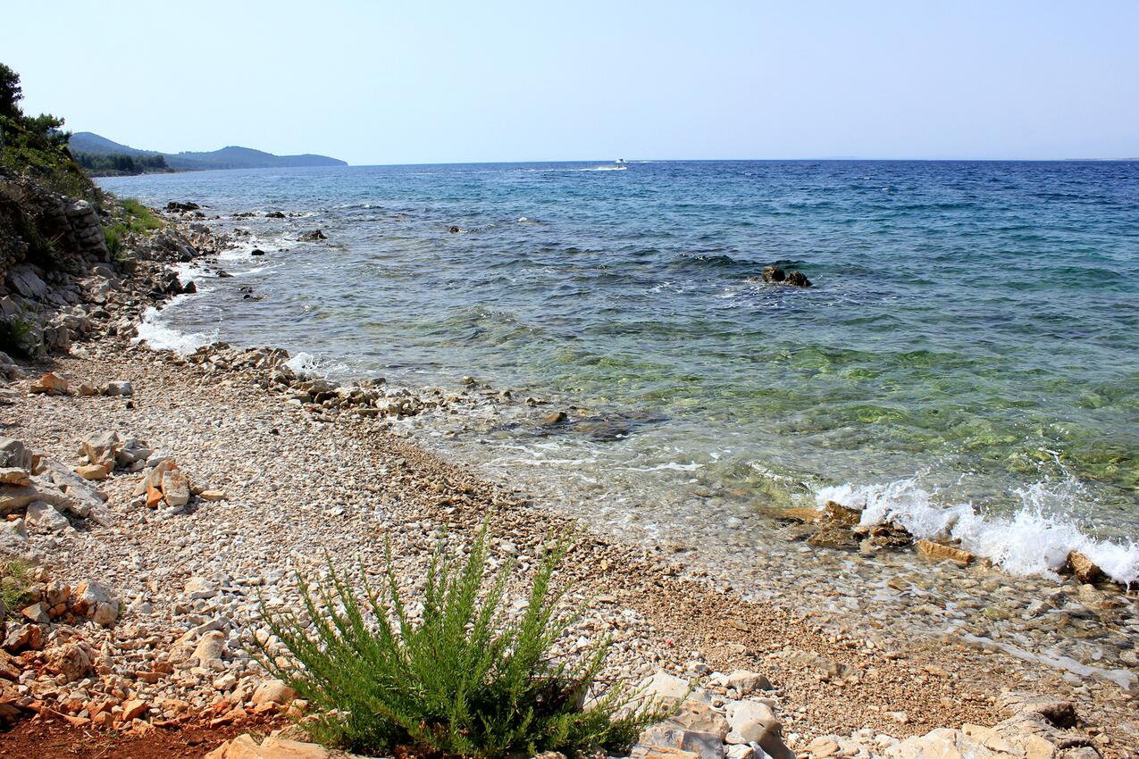 Najbliža plaža - Apartmani uz more Sutomišćica, Ugljan