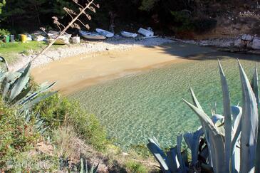 Apartments by the sea Cove Salbunara - Biševo, Vis - 12700