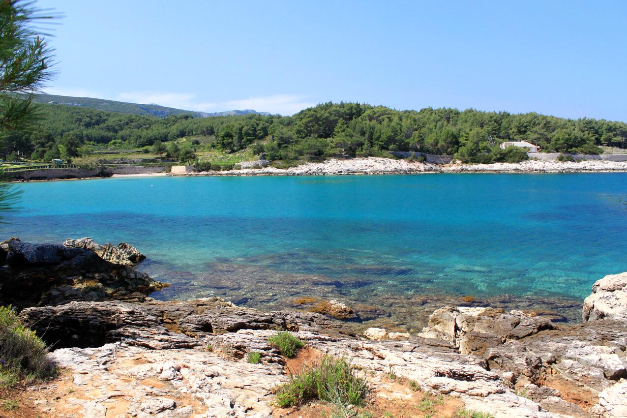 Nejbližší pláž - Prázdninový dům u moře Zátoka Grebišće, Hvar