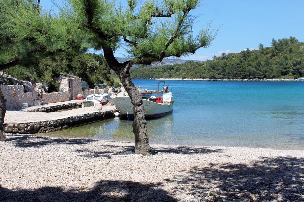 La spiaggia più vicina - Appartamenti robinsoniani accanto al mare Baia Karkavac - Scedro, Lesina - Hvar