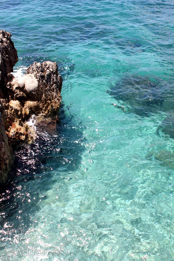 Adriatic.hr