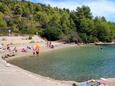 Strand  in Vela Luka, Korčula.