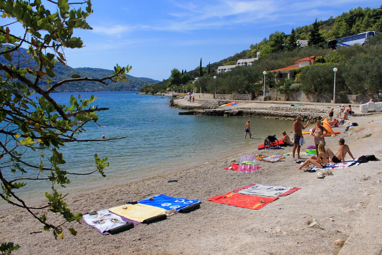 Nächster Strand - Haus mit Pool für Familien Vela Luka, Korcula