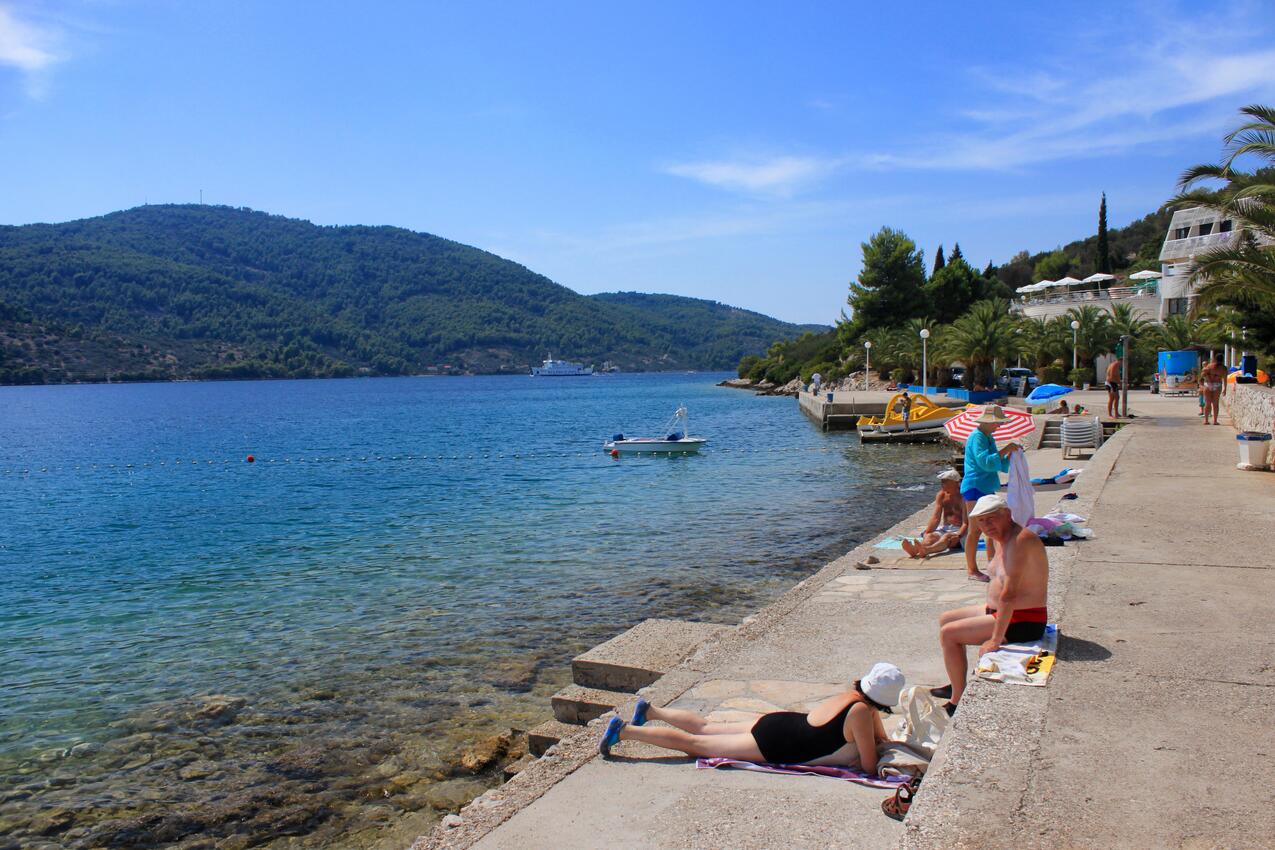Nächster Strand - Haus mit Pool für Familien Vela Luka, Korcula