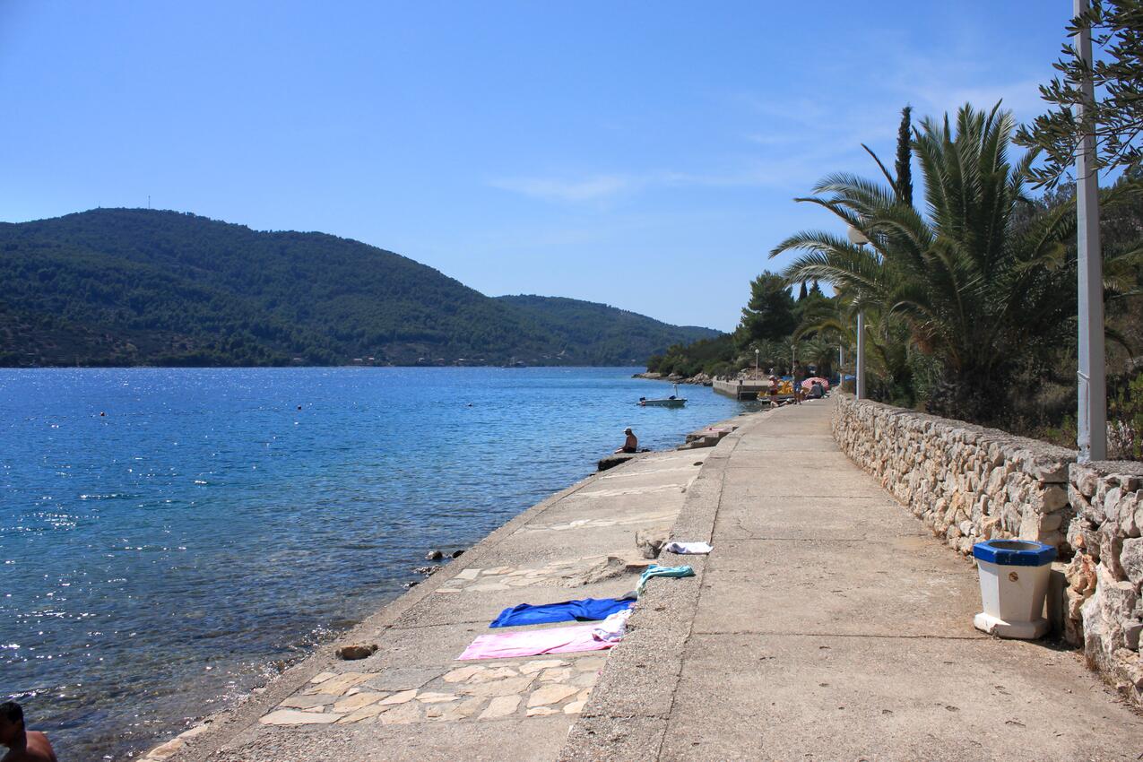 Nächster Strand - Haus mit Pool für Familien Vela Luka, Korcula