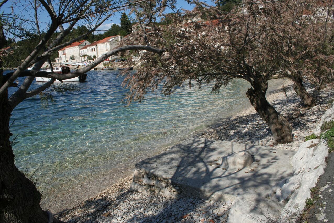 La spiaggia più vicina - Appartamenti e camere accanto al mare Racischie - Račišće, Curzola - Korčula
