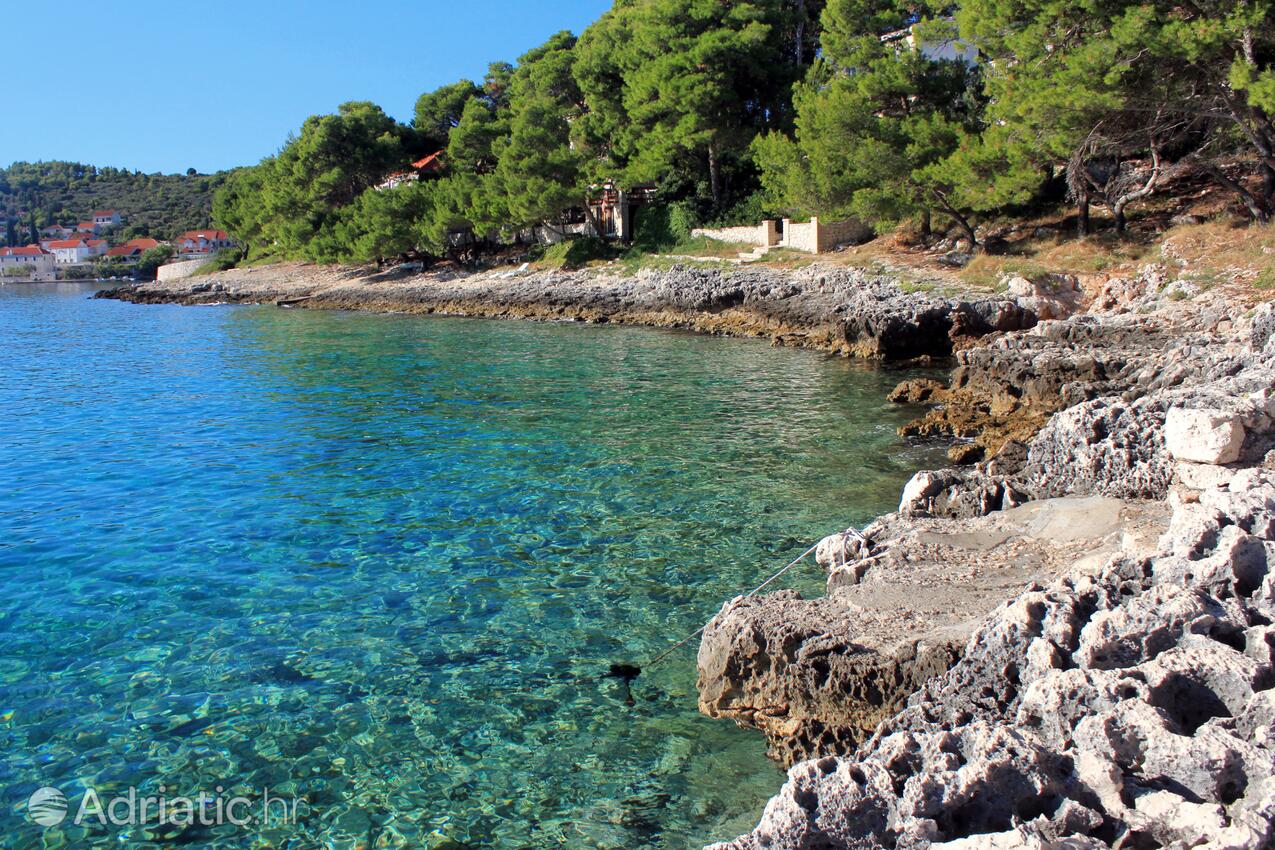 Nearest beach - Apartments by the sea Lumbarda, Korčula