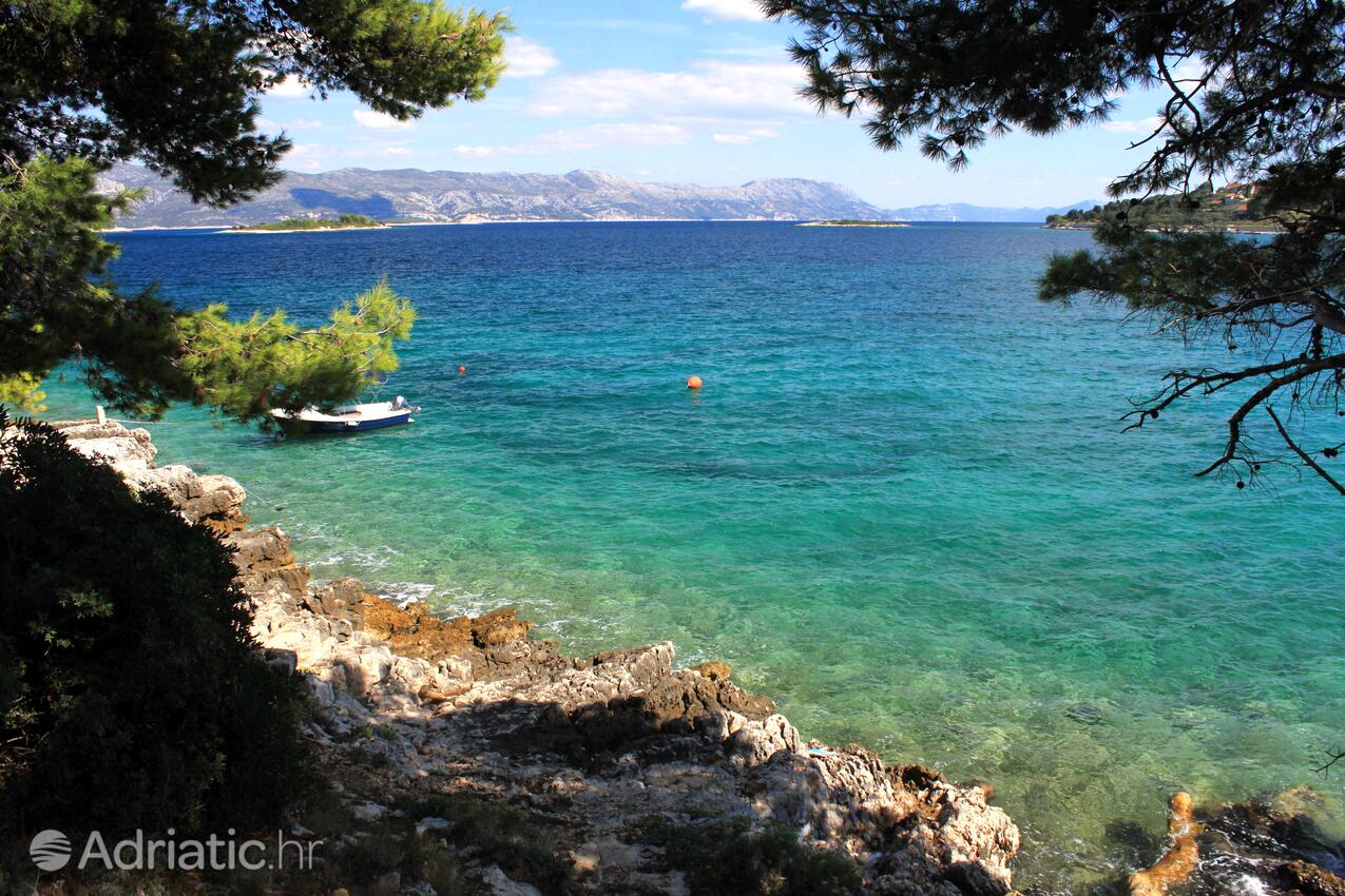 Nearest beach - Apartments by the sea Lumbarda, Korčula