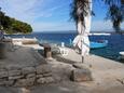 Appartamenti accanto al mare Racischie - Račišće, Curzola - Korčula - 9169