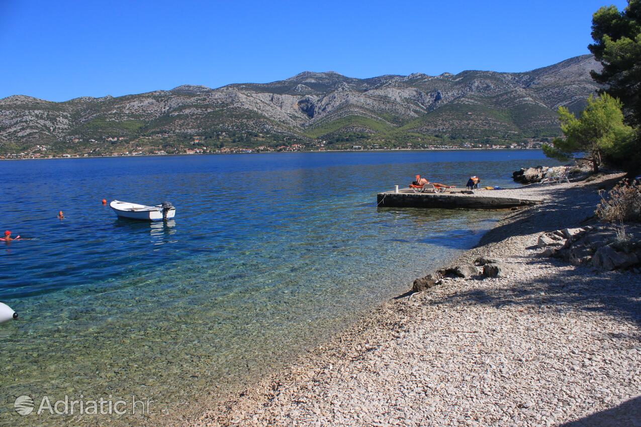 Nearest beach - Apartments by the sea Tri Žala, Korčula