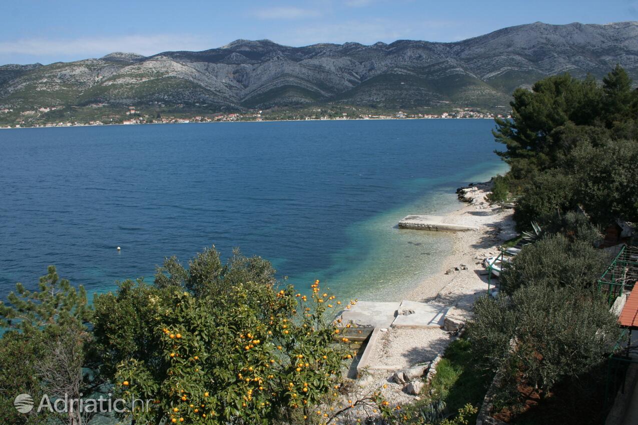 Nearest beach - Apartments by the sea Tri Žala, Korčula