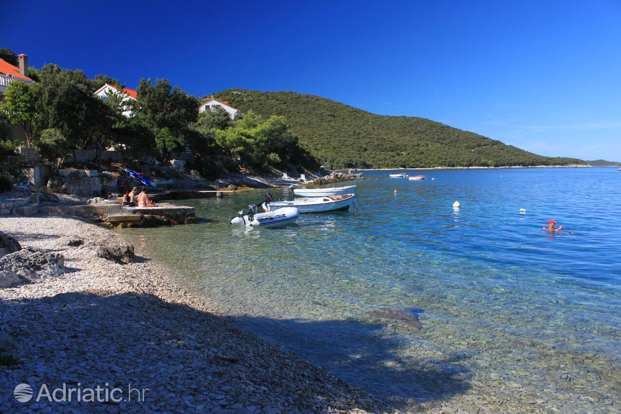 Nearest beach - Apartments by the sea Tri Žala, Korčula