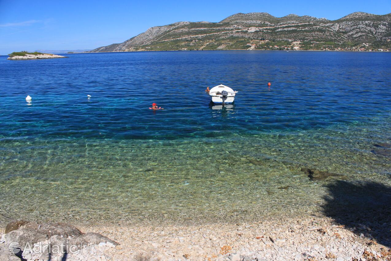 Nearest beach - Apartments by the sea Tri Žala, Korčula
