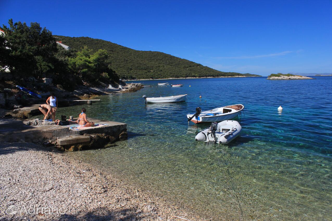 Nearest beach - Apartments by the sea Tri Žala, Korčula