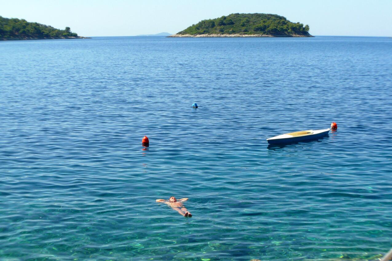 Nächster Strand - Ferienwohnungen am Meer Prizba, Korcula