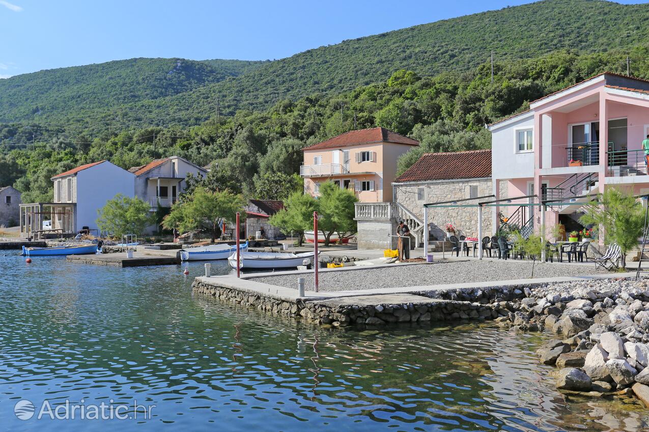 Nearest beach - Apartments by the sea Žuronja, Pelješac